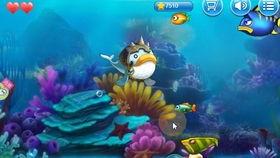 大鱼吃瓜娱乐,揭秘娱乐圈幕后故事