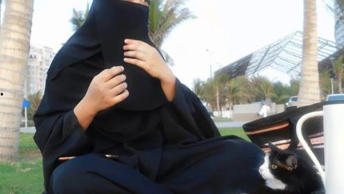 娱乐吃瓜君吃饭,揭秘明星饭局背后的故事